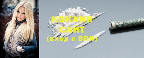 стаф Алексин