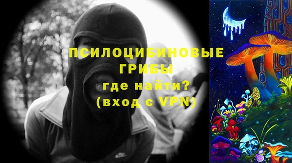 стаф Алексин