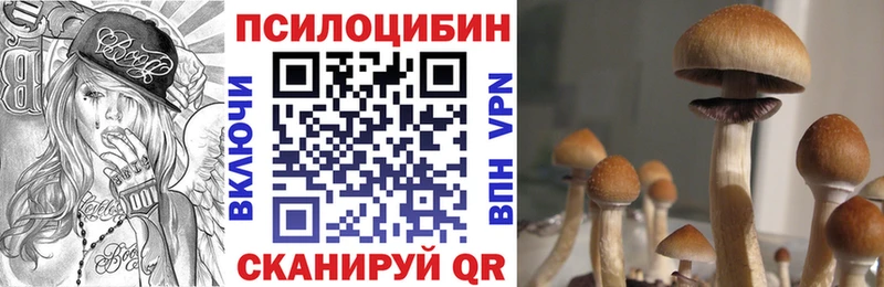 нарко площадка клад  blacksprut ONION  Медынь  цена   Галлюциногенные грибы прущие грибы 